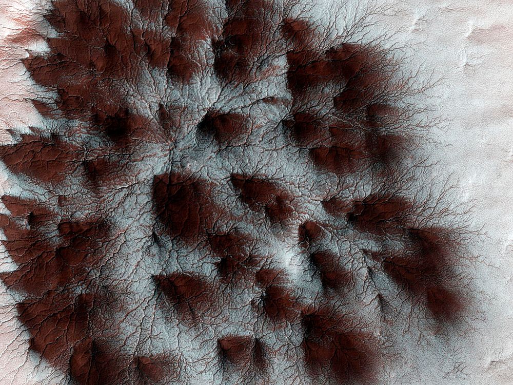 Mars seasonal cap of carbon dioxide ice has eroded many beautiful terrains as it sublimates every spring. Original from…