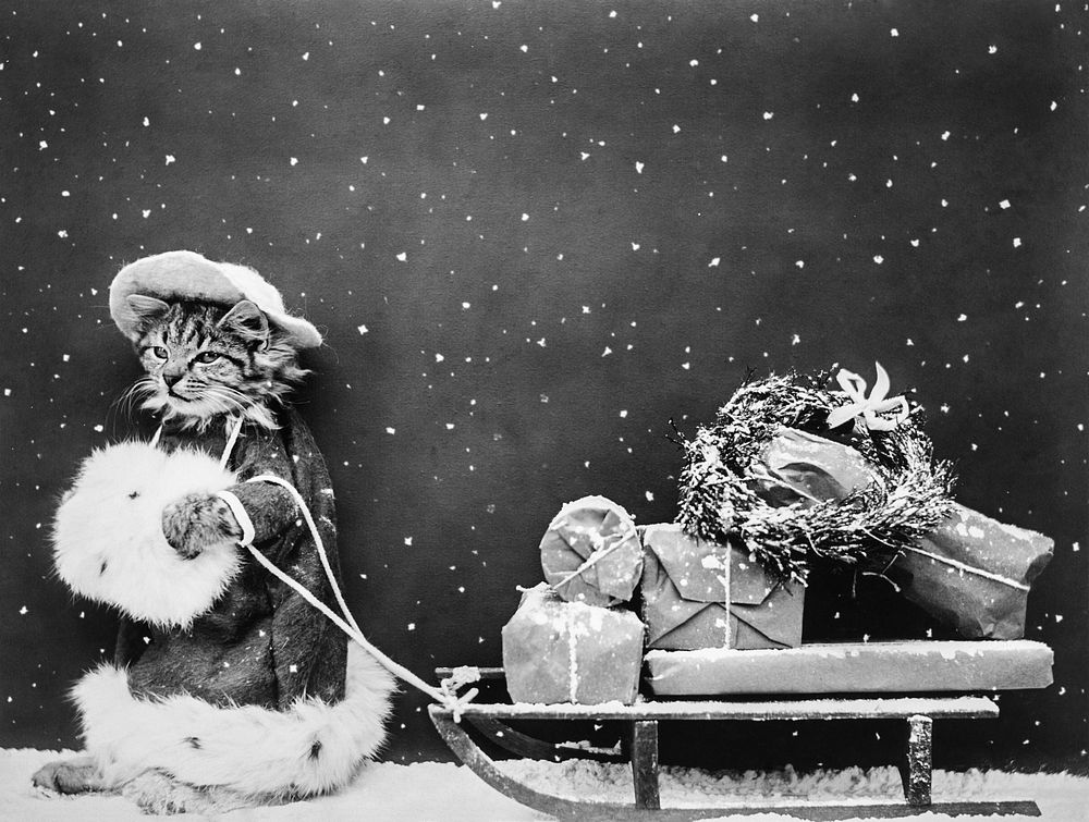 Santa Cat Still Image (1914) from The Miriam and Ira D. Wallach Division of Art, Prints and Photographs. Original from The…