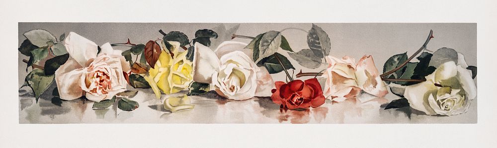 Christmas Roses (1865&ndash;1899) by L. Prang & Co. Original from The New York Public Library. Digitally enhanced by…