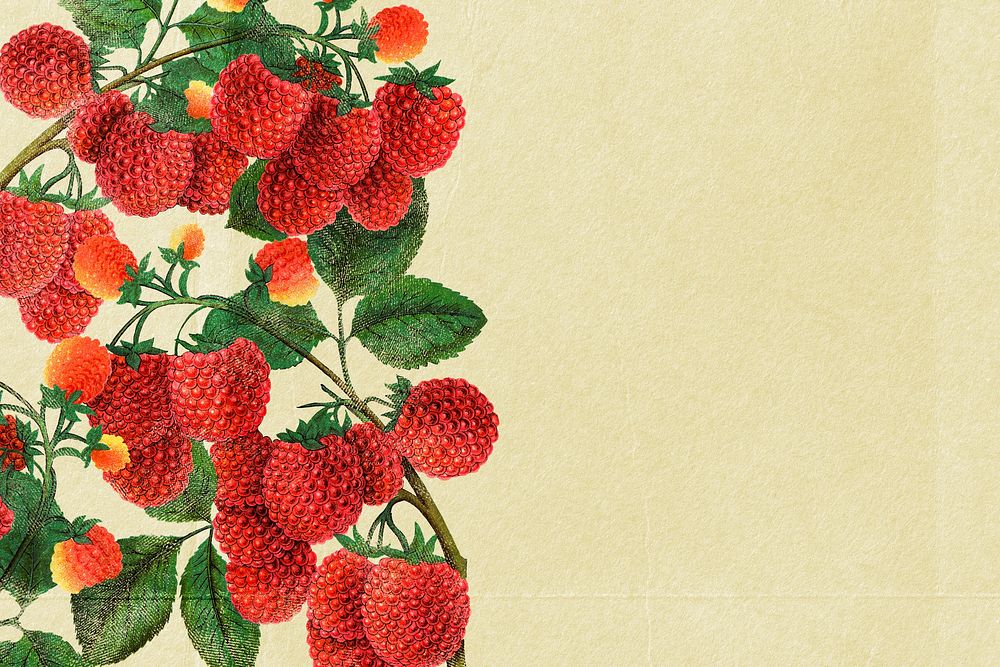 Raspberry beige background, aesthetic botanical border illustration