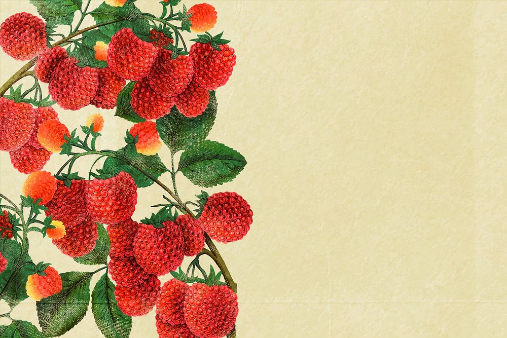 Raspberry beige background, aesthetic botanical border vector