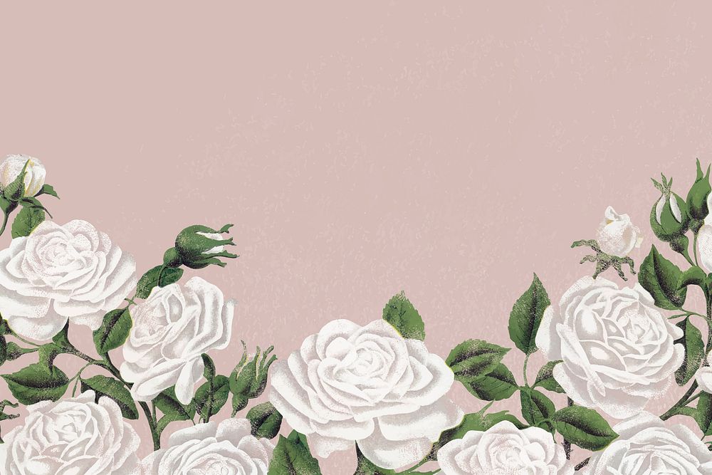 White rose border, feminine floral background vector