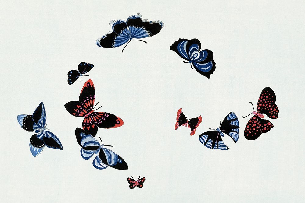 Japanese butterfly. Digitally enhanced from our own original 1904 edition of Kamisaka Sekka's Cho senshu (One Thousand…