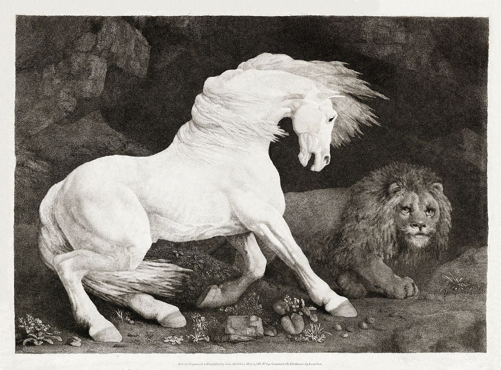 A Horse Affrighted at a Lion (1788) by George Stubbs. Original from The MET Museum. Digitally enhanced by rawpixel.
