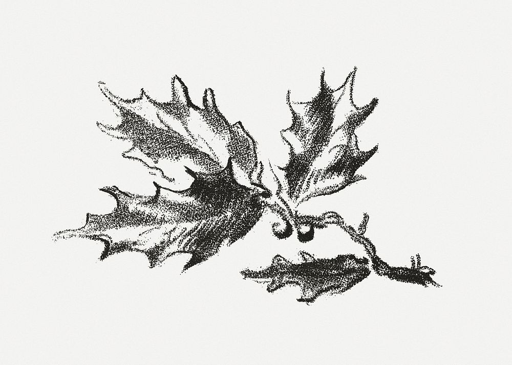 Vintage tree parts botanical illustration psd, remix from artworks by Gilles Demarteau
