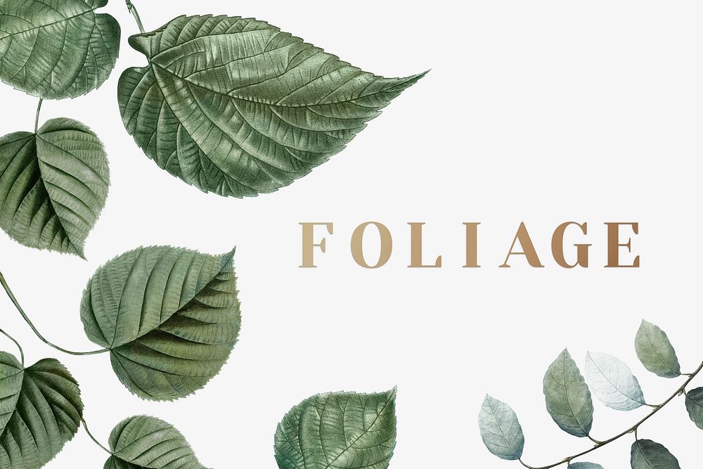 Tropical botanical foliage background illustration