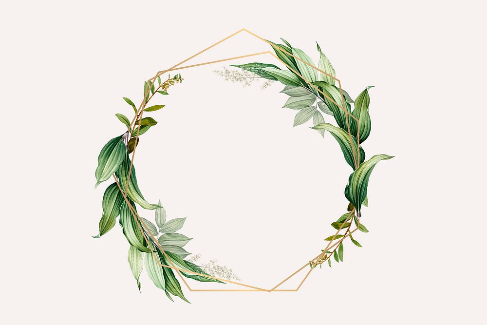 Tropical botanical frame design illustration