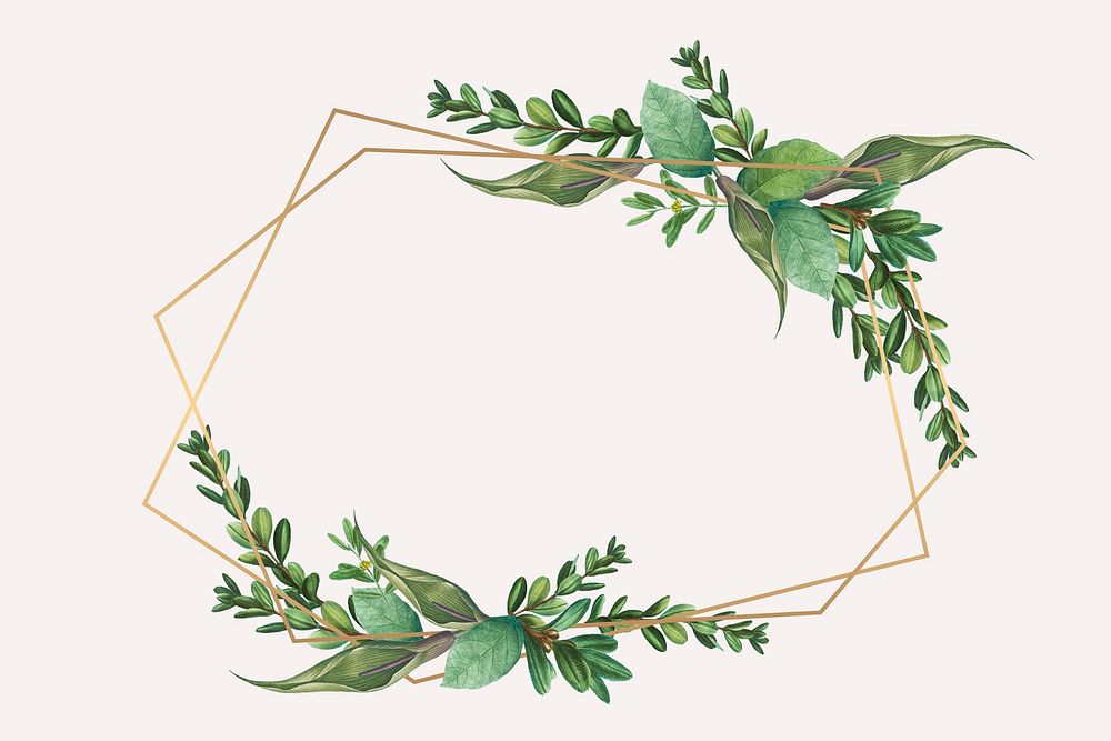 Tropical botanical frame design illustration