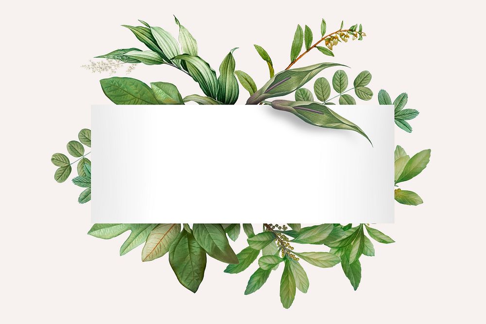 Tropical botanical banner design illustration