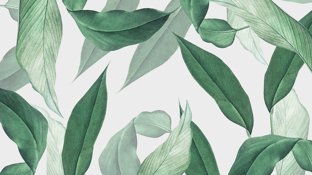 Tropical leaves desktop wallpaper, green background 