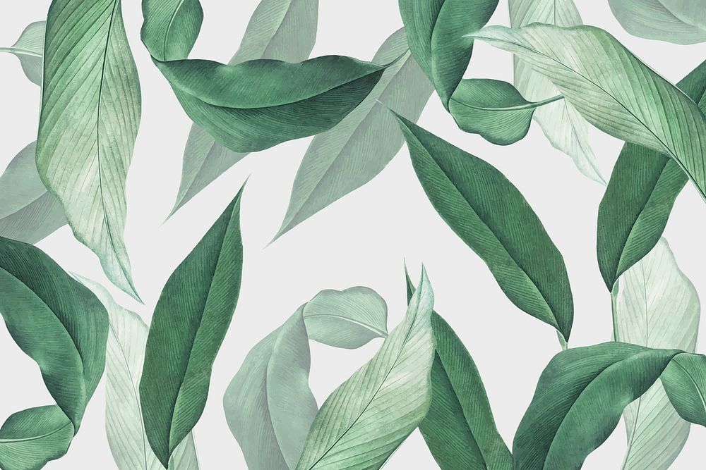 Hand drawn tropical leaves background vector