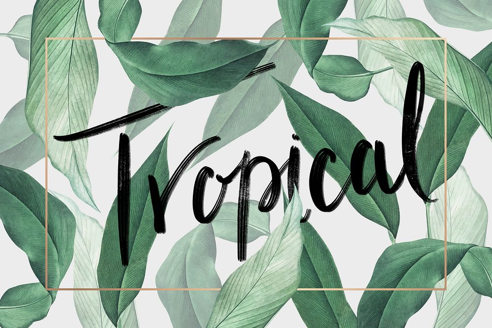 Hand drawn tropical leaves background vector