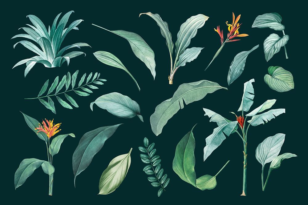 Hand drawn tropical plant parts set on a dark green background