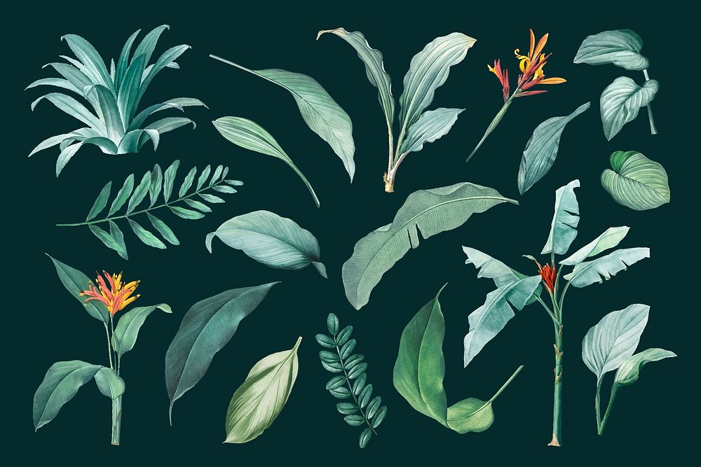 Hand drawn tropical plant parts set on a dark green background vector