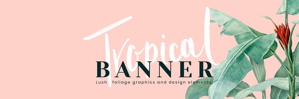 Hand drawn tropical leaves banner on a pastel pink background vector