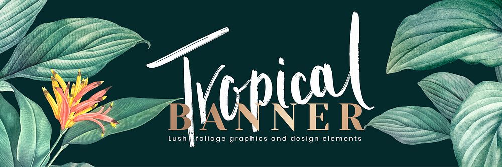 Hand drawn tropical leaves banner on a dark green background vector