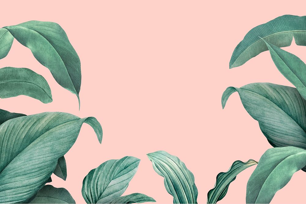 Hand drawn tropical leaves on a pastel pink background vector