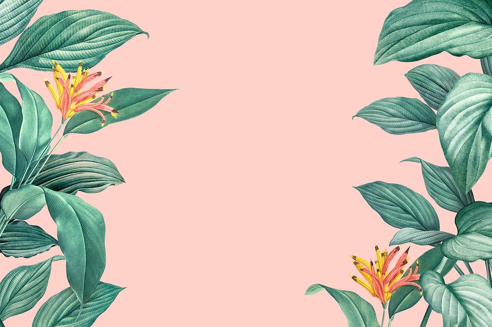 Hand drawn tropical leaves on a pastel pink background