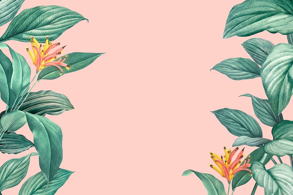 Hand drawn tropical leaves on a pastel pink background vector
