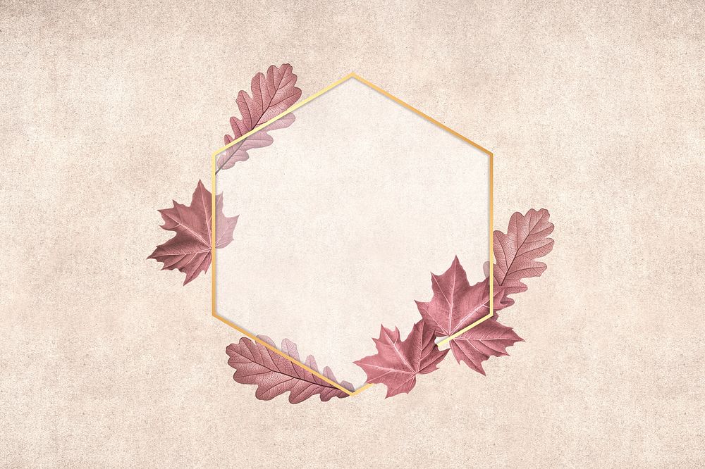 Red leafy hexagon gold frame illustration