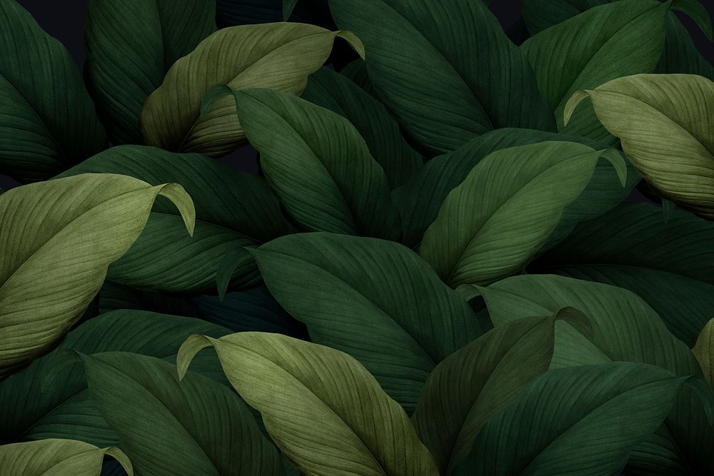 Green tropical leaves patterned background