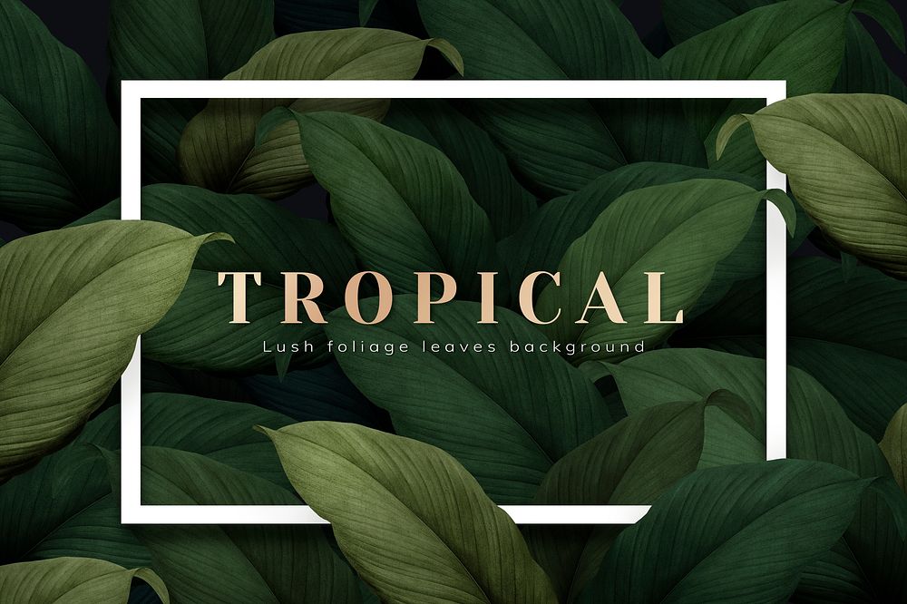 White rectangle frame on tropical leaves background