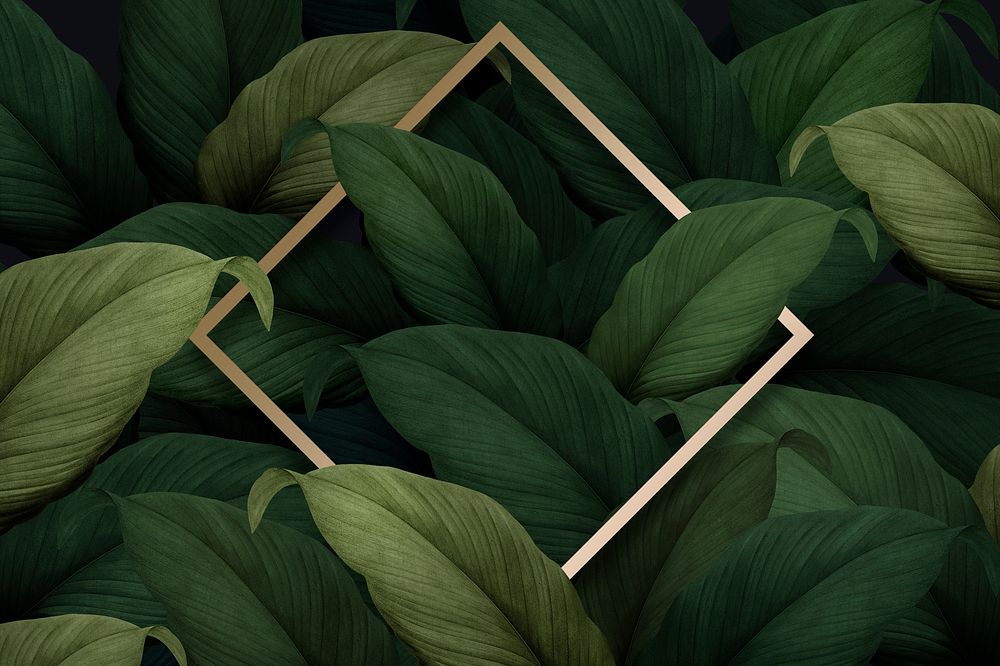 Gold square frame on tropical leaves background