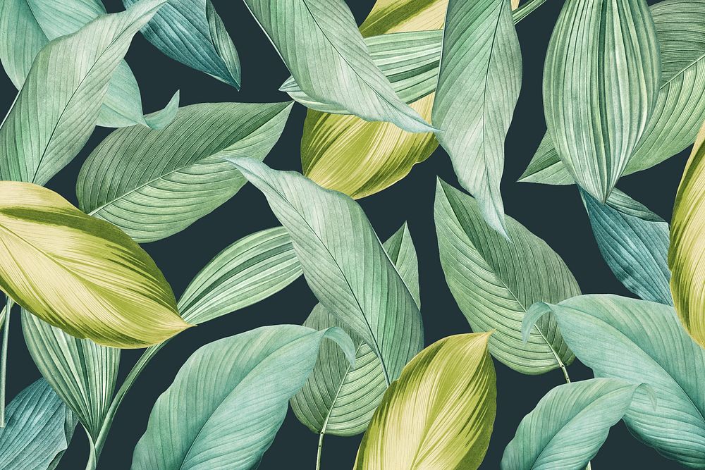 Green tropical leaves patterned background