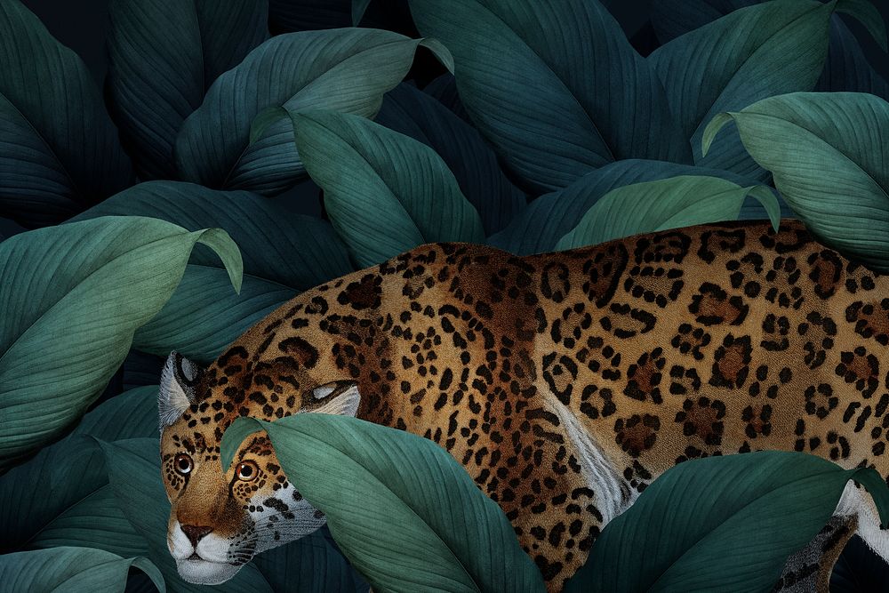Cheetah on a leafy background illustration