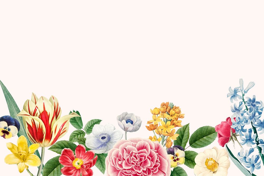 Spring background vector with flower border