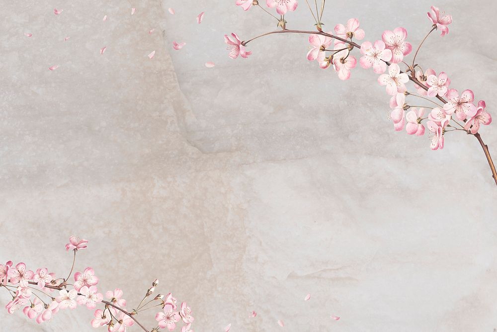 Pink cherry blossom flower branch bouquet border on cream marble background