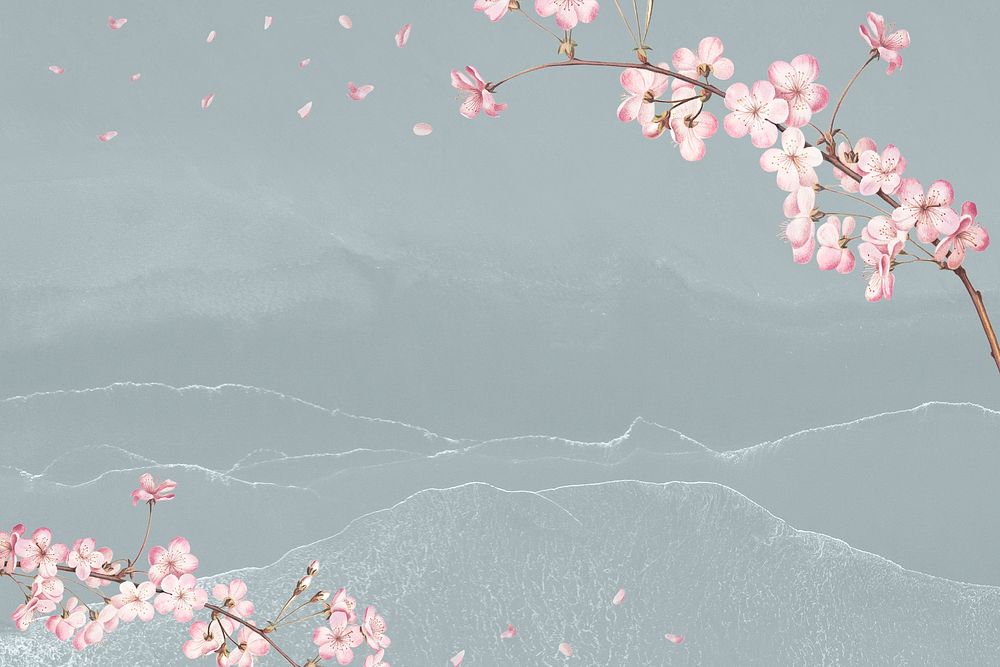Pink cherry blossom flower branch bouquet border on blue gray background