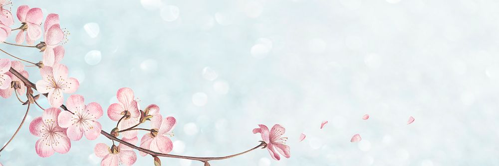 Pink cherry blossom flower branch border frame on blue glitter background banner
