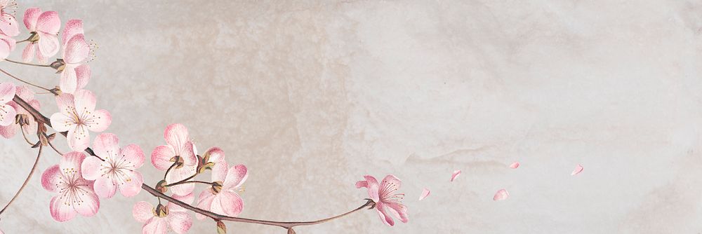 Pink cherry blossom flower branch border frame on white marble background banner