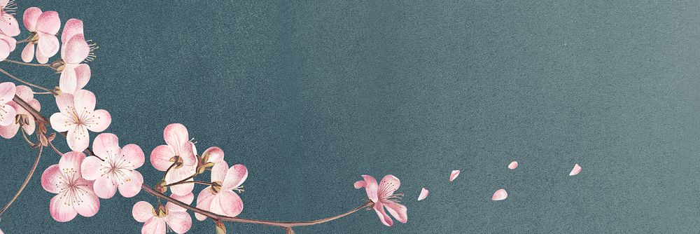 Pink cherry blossom flower branch border frame on blue background banner