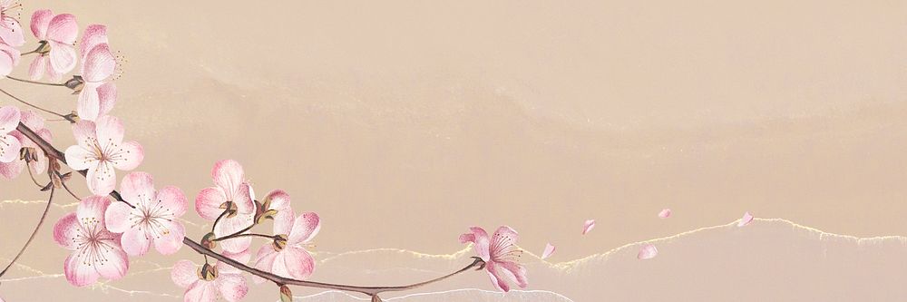 Pink cherry blossom flower branch border frame on peach background banner
