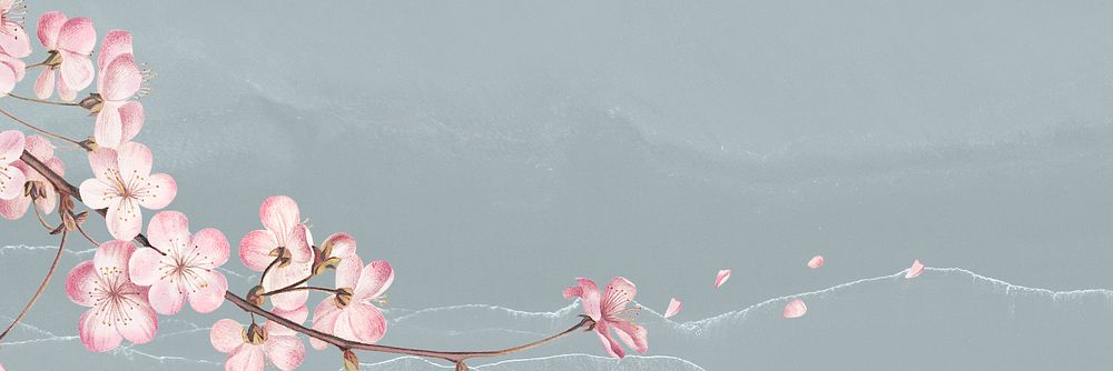 Pink cherry blossom flower branch border frame on blue gray background banner