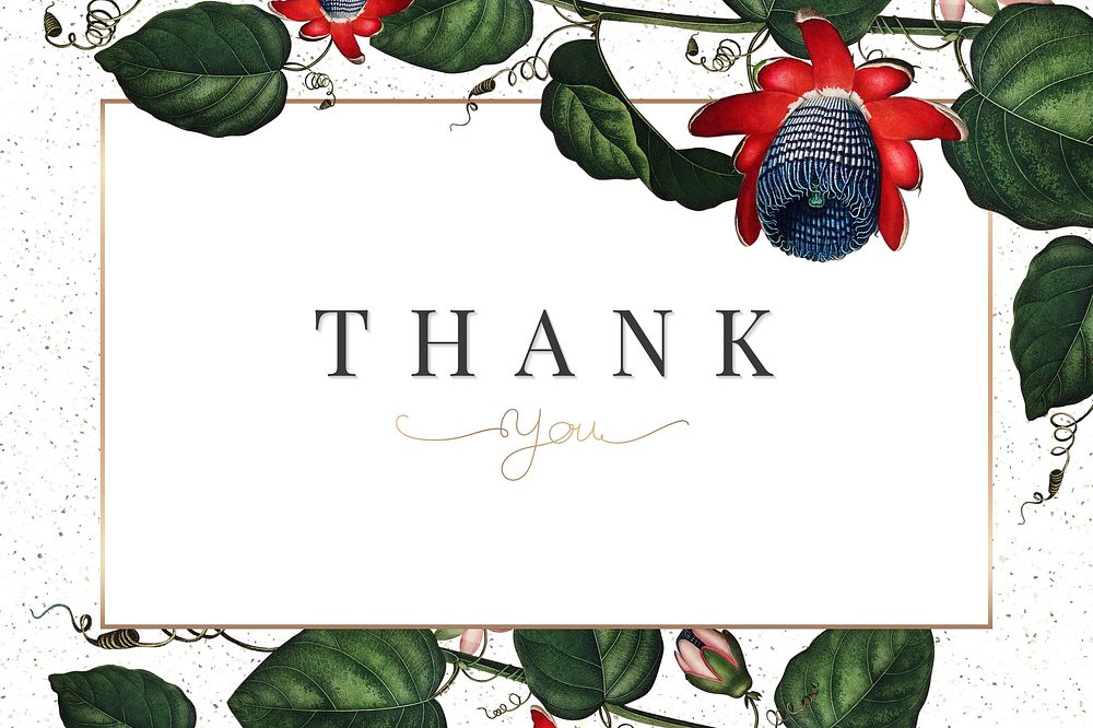 The winged passion flower thank you card illustration