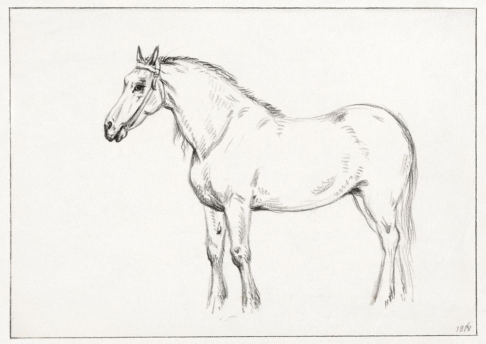 Standing horse (1818) drawing in high resolution by Jean Bernard. Original from the Rijksmuseum. Digitally enhanced by…
