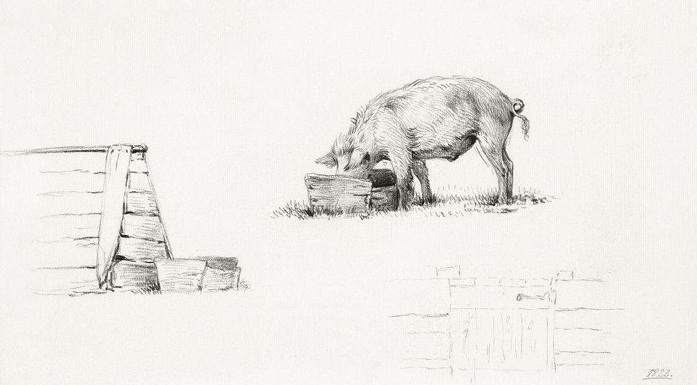 Pig (1823) drawing in high resolution by Jean Bernard. Original from the Rijksmuseum. Digitally enhanced by rawpixel.