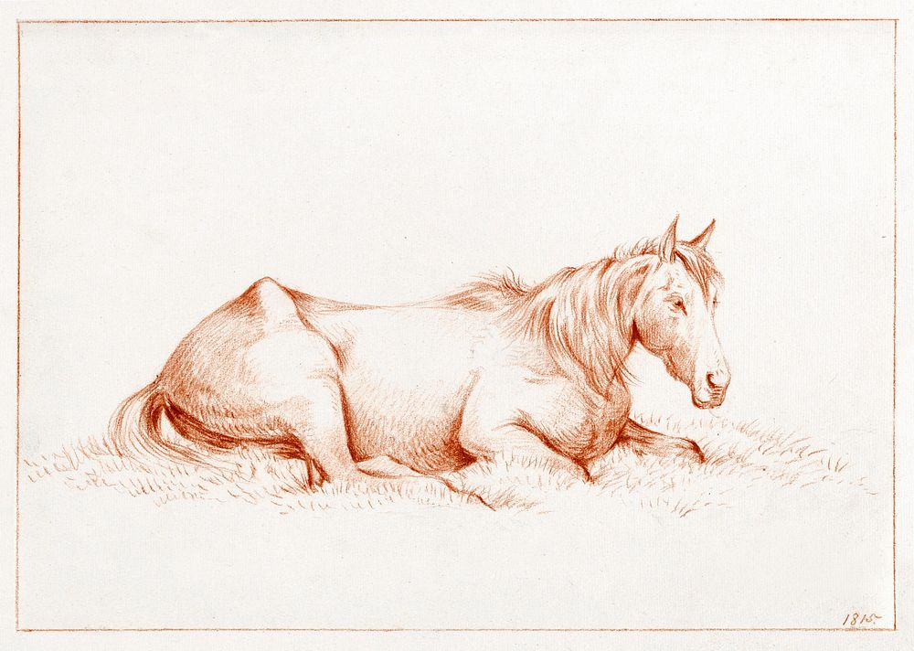 Horse lying in the grass (1815) drawing in high resolution by Jean Bernard. Original from the Rijksmuseum. Digitally…