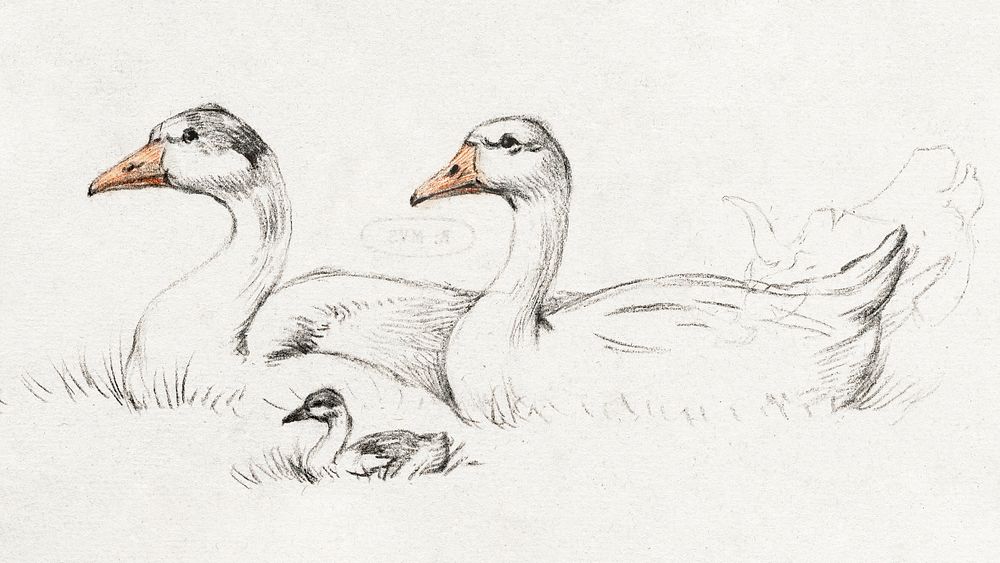 Two geese with a young (1775&ndash;1833) drawing in high resolution by Jean Bernard. Original from the Rijksmuseum.…