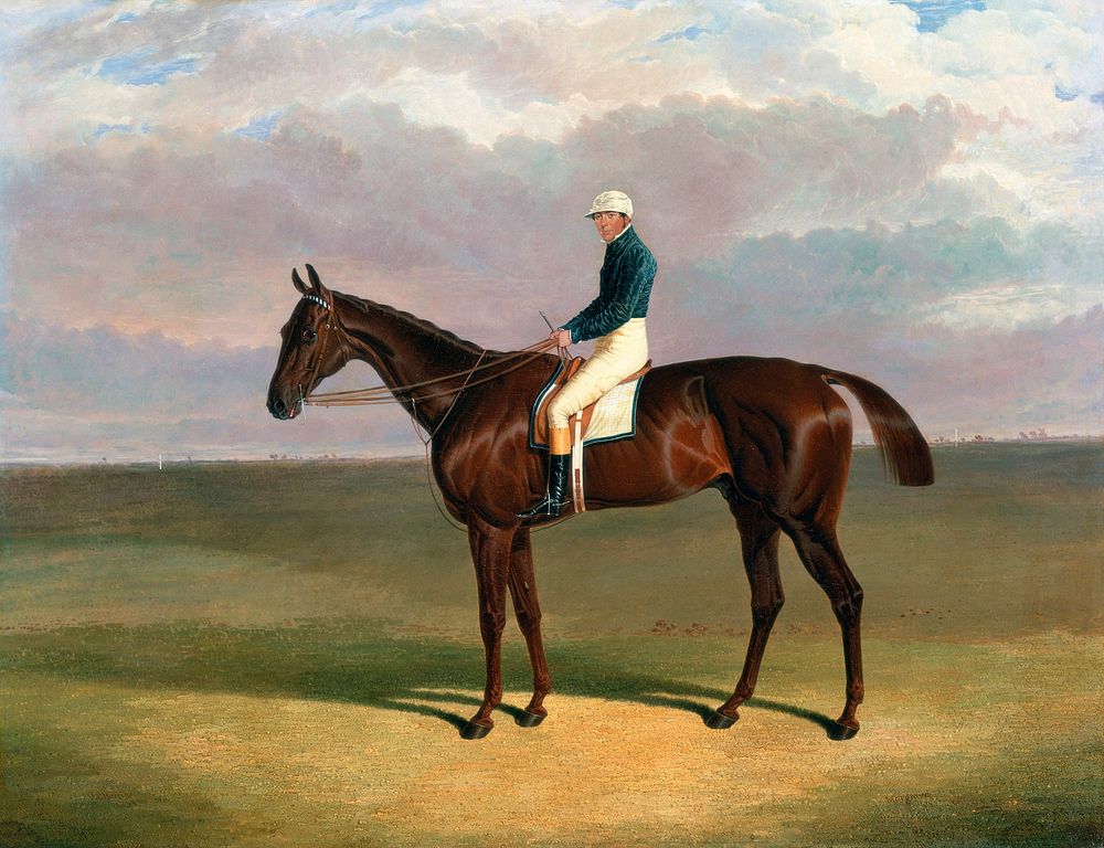 'Margrave' with James Robinson Up (1833) painting in high resolution by John Frederick Herring. Original from Yale…