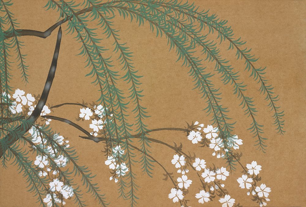 Blossoms from Momoyogusa&ndash;Flowers of a Hundred Generations (1909) by Kamisaka Sekka. Original from the The New York…