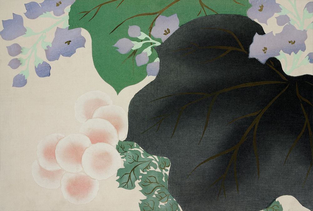 Flowers and leaves from Momoyogusa&ndash;Flowers of a Hundred Generations (1909) by Kamisaka Sekka. Original from the The…