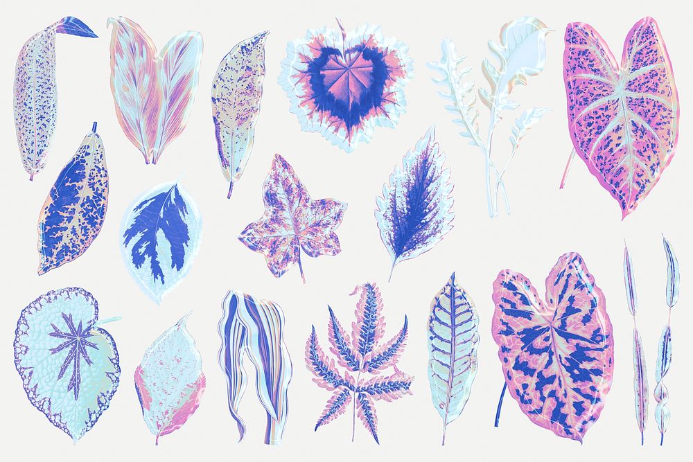 Blue leaf illustration, aesthetic nature graphic set psd