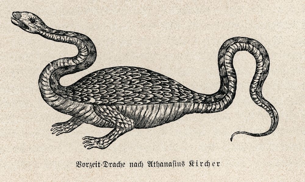Dragon (1664&ndash;1678) drawing in high resolution by Athanasius Kircher. Original from Weltall und Menschheit. Digitally…