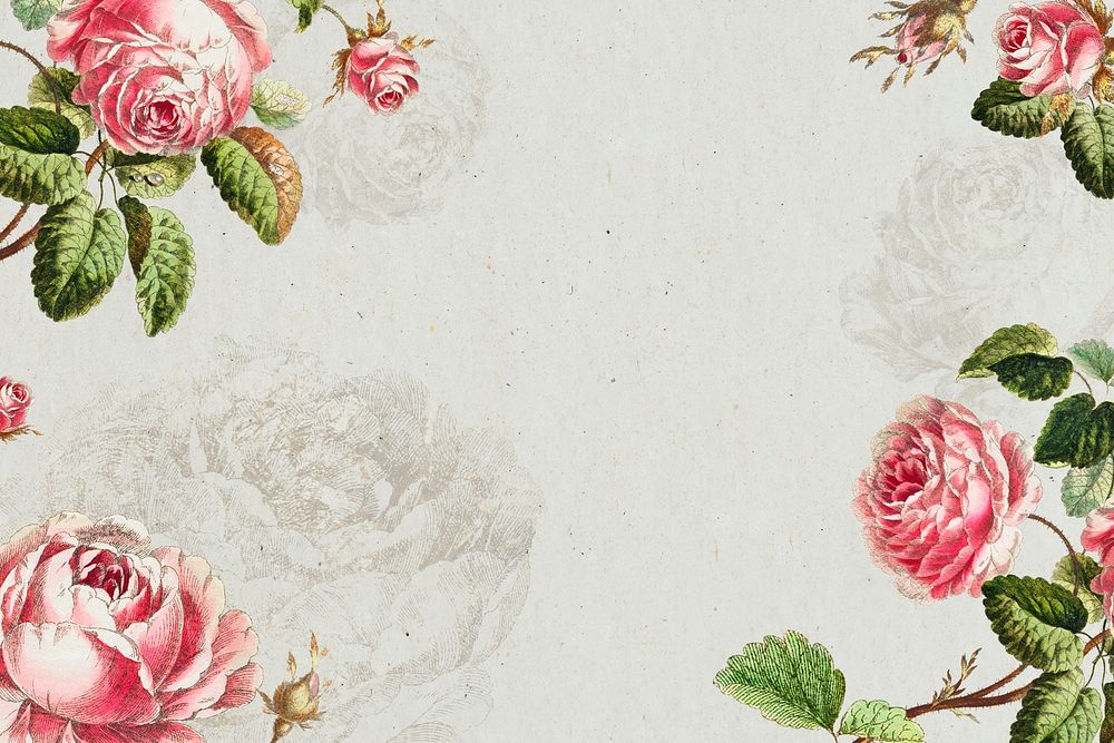 Spring background psd with pink flower border