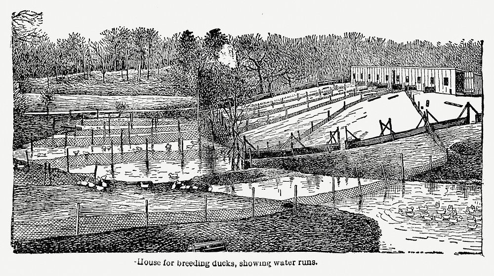 Farmland drawing. Digitally enhanced from our own original copy of The Open Door to Independence (1915) by Thomas E. Hill. 