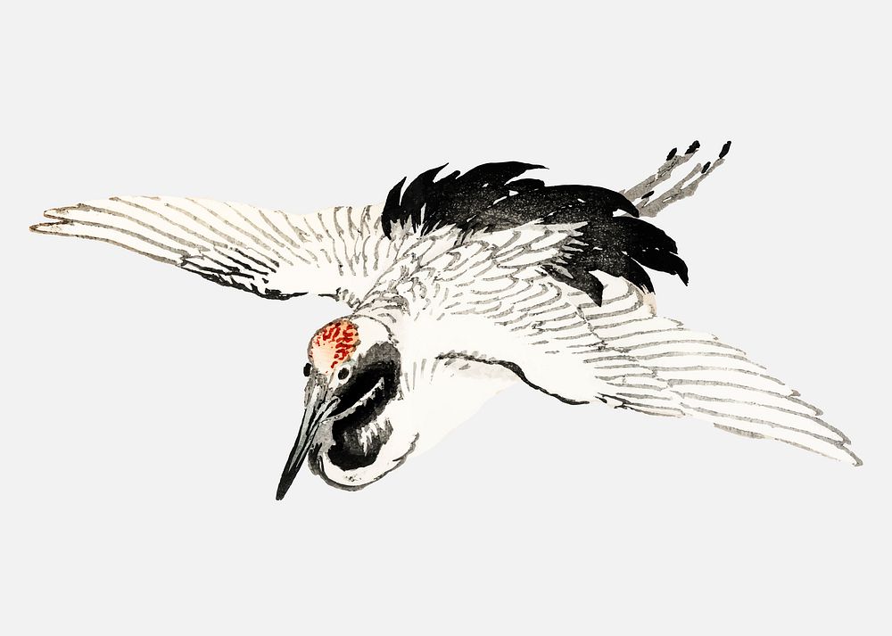Flying crane by Kōno Bairei (1844-1895). Digitally enhanced from our own original 1913 edition of Bairei Gakan.